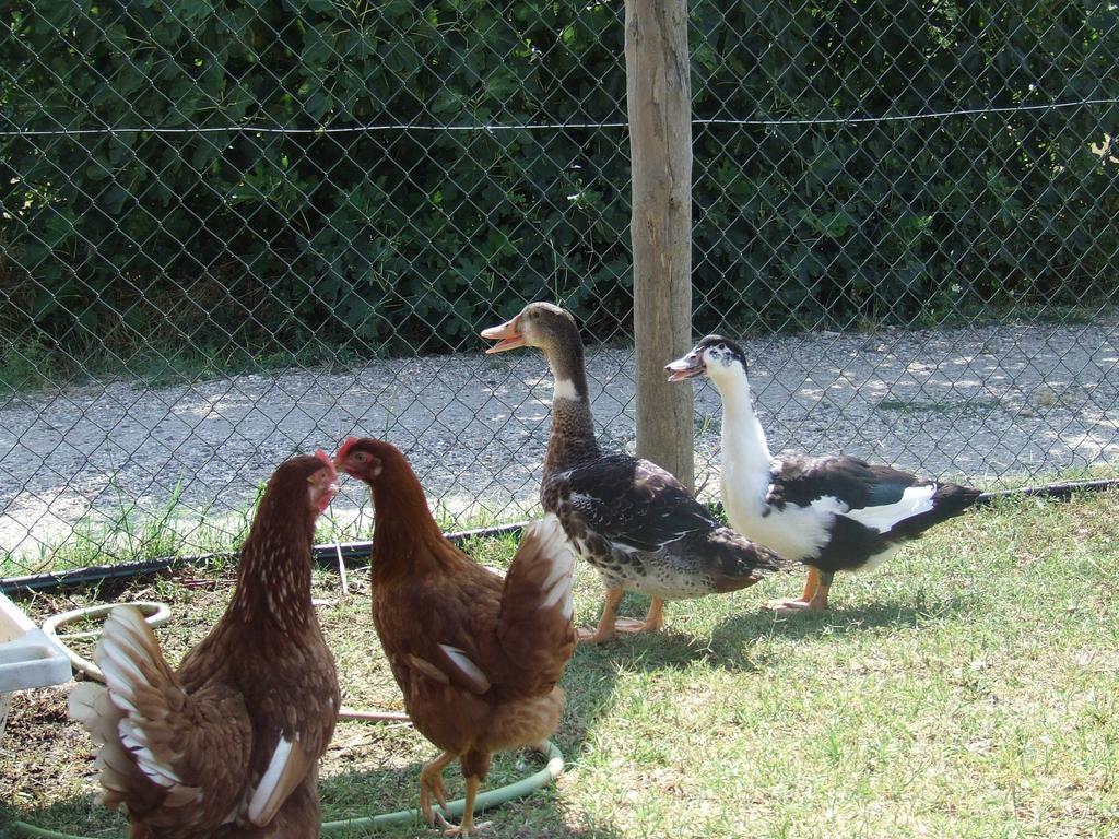 Agroturismo Il Casale Di Roma