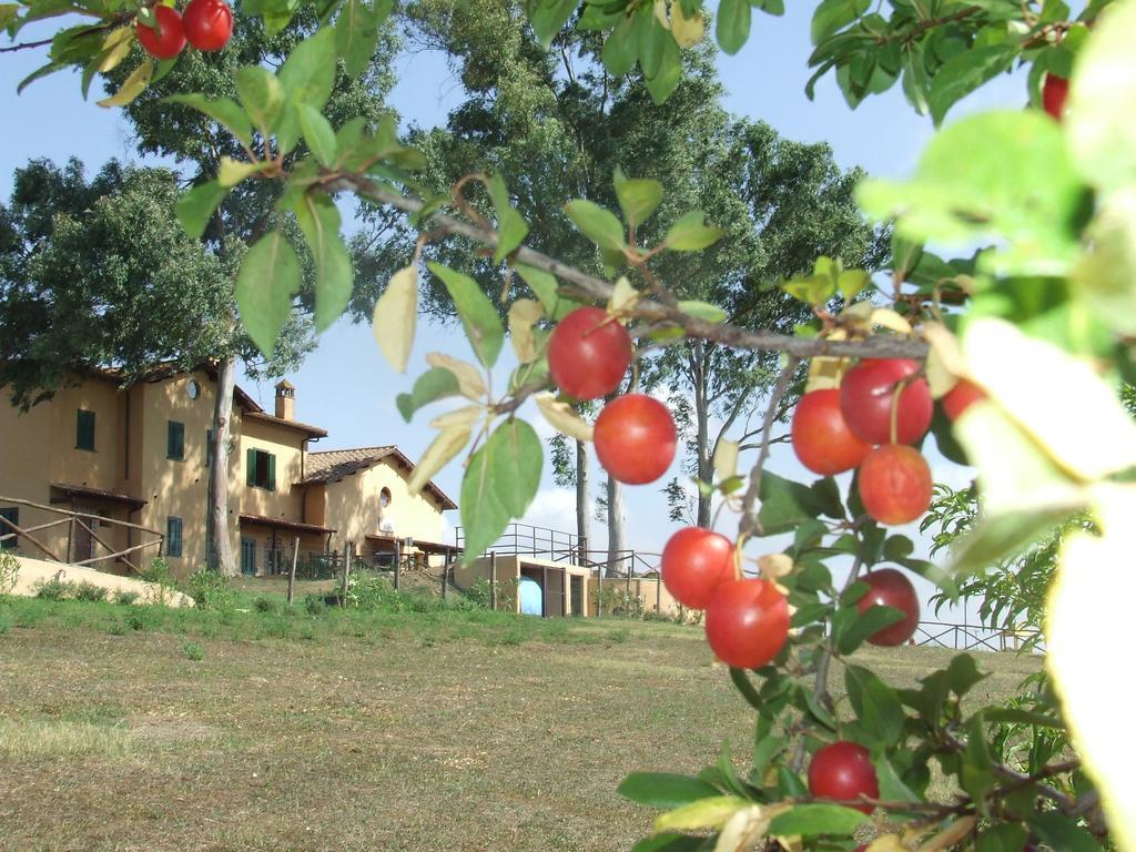 Il Casale Di Agroturismo