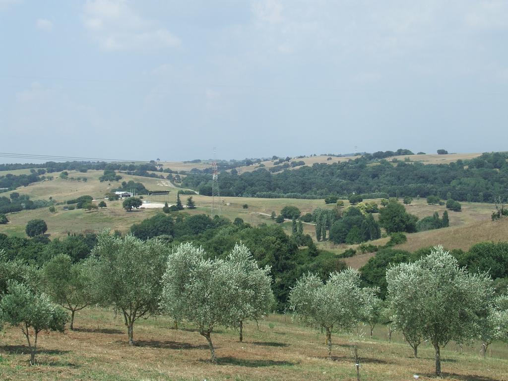 Il Casale Di Agroturismo Roma